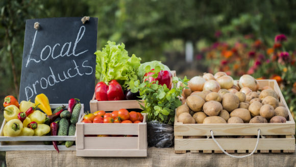 How Food Banks Collaborate with Local Farms to Provide Fresh Produce